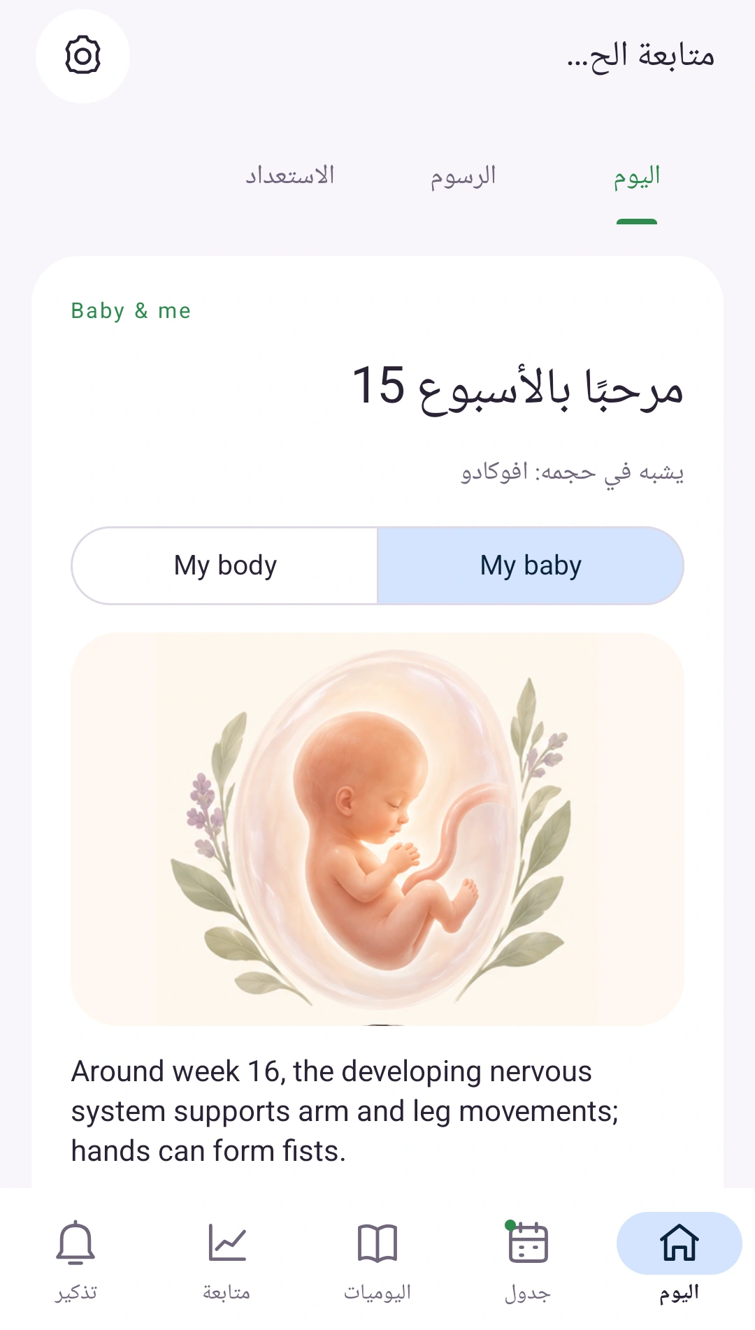حملك في نظرة واحدة