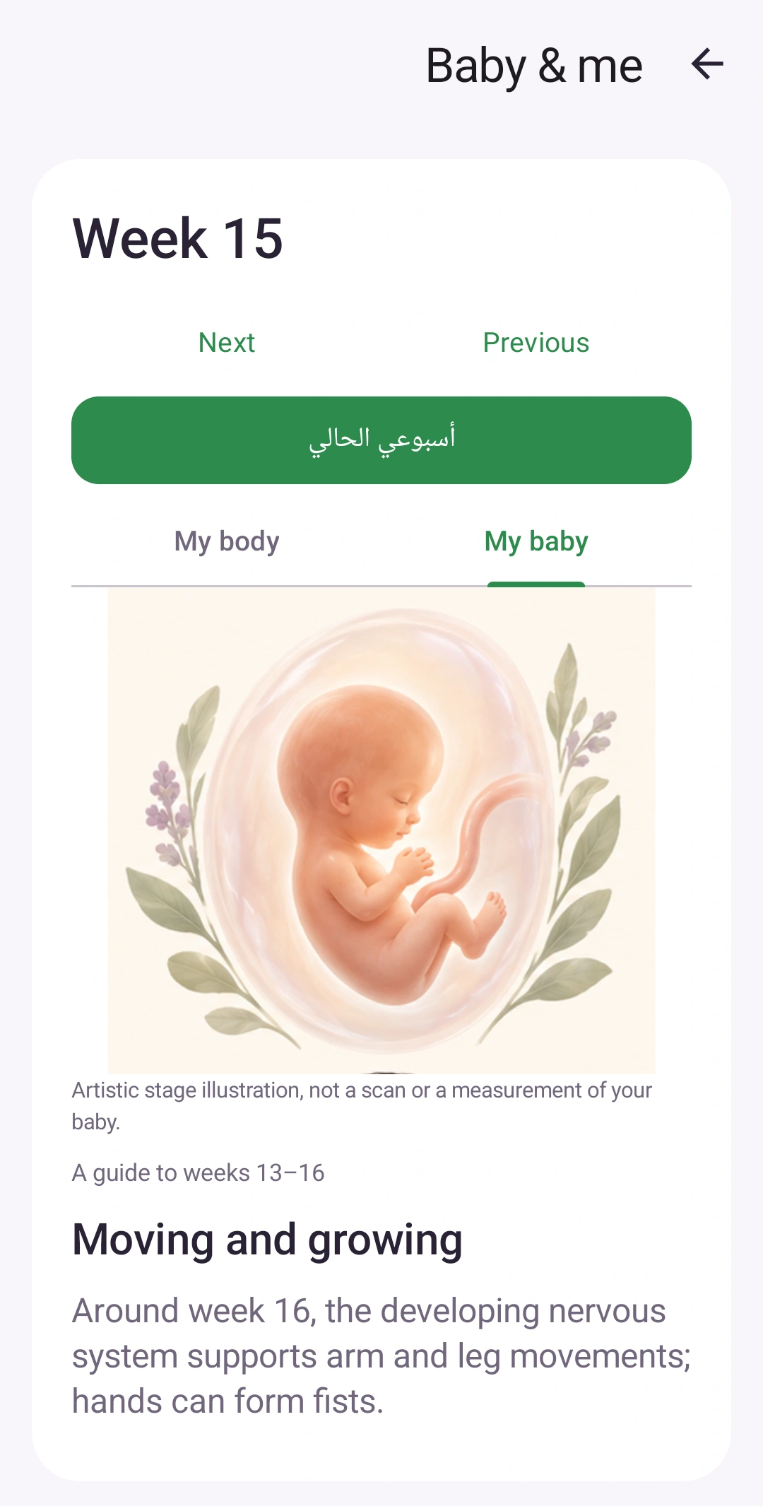 أقرب إلى طفلك — مراحل مصورة لطفلك وتغيرات جسمك