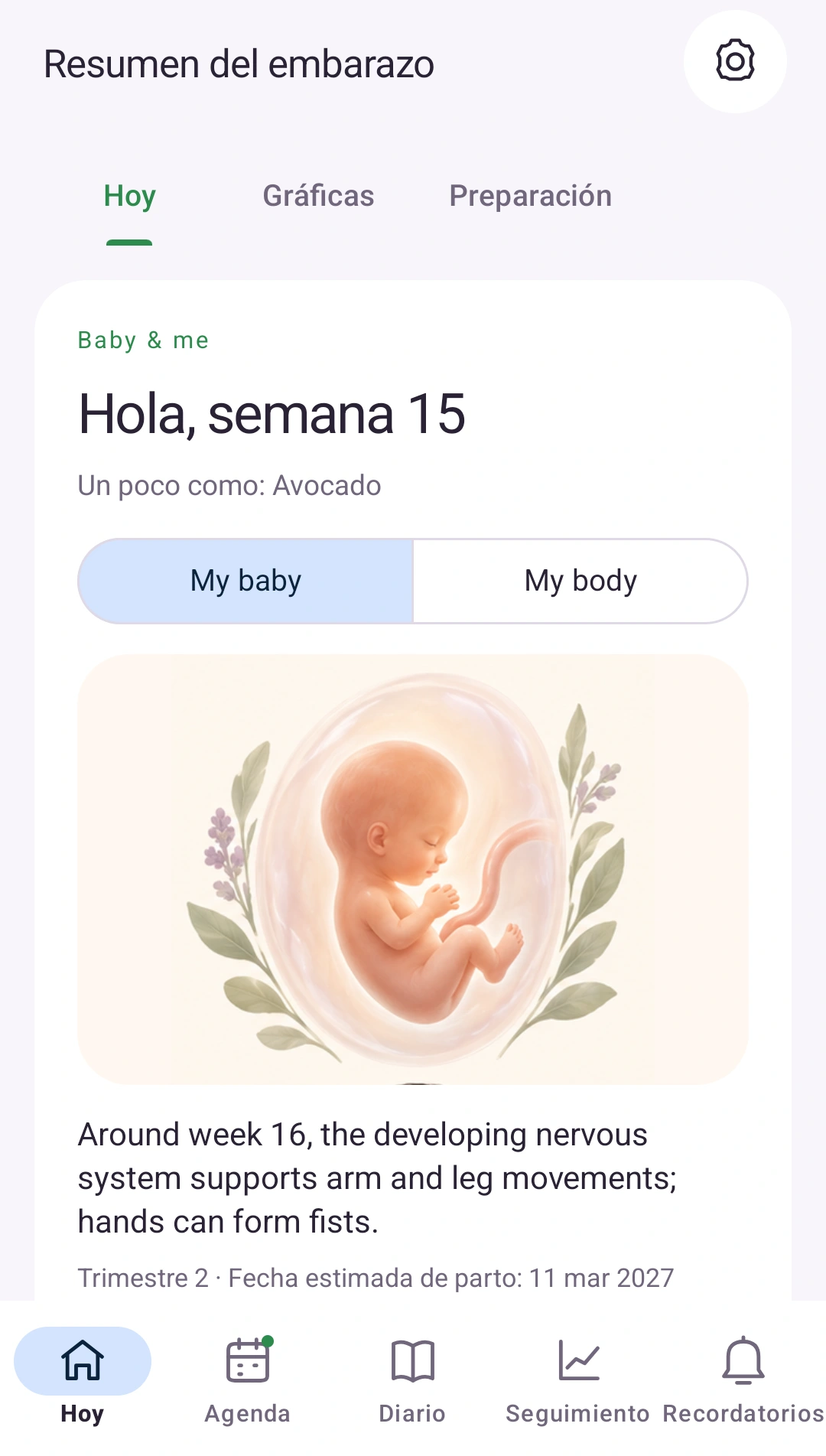 Tu embarazo de un vistazo