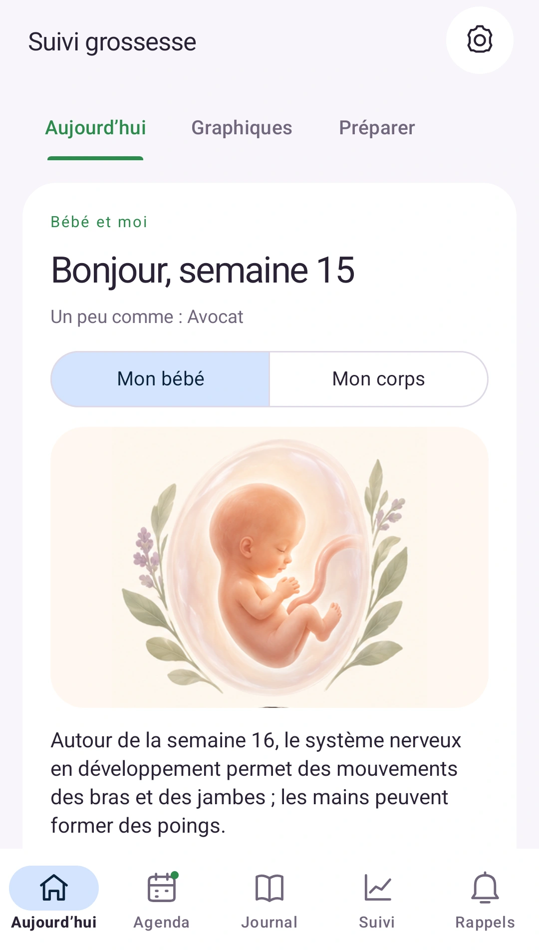 Votre grossesse, en un regard