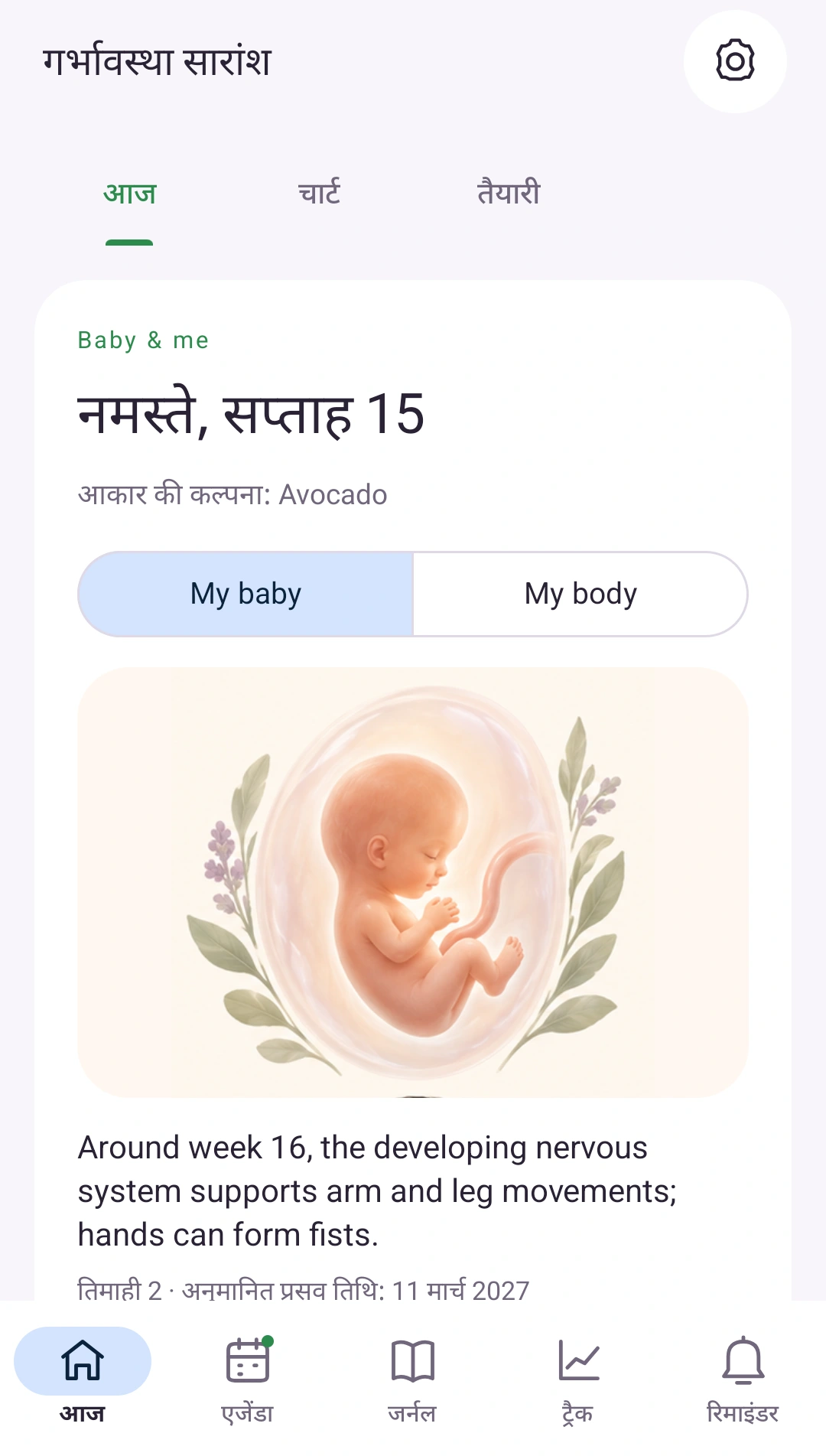 एक नज़र में आपकी गर्भावस्था