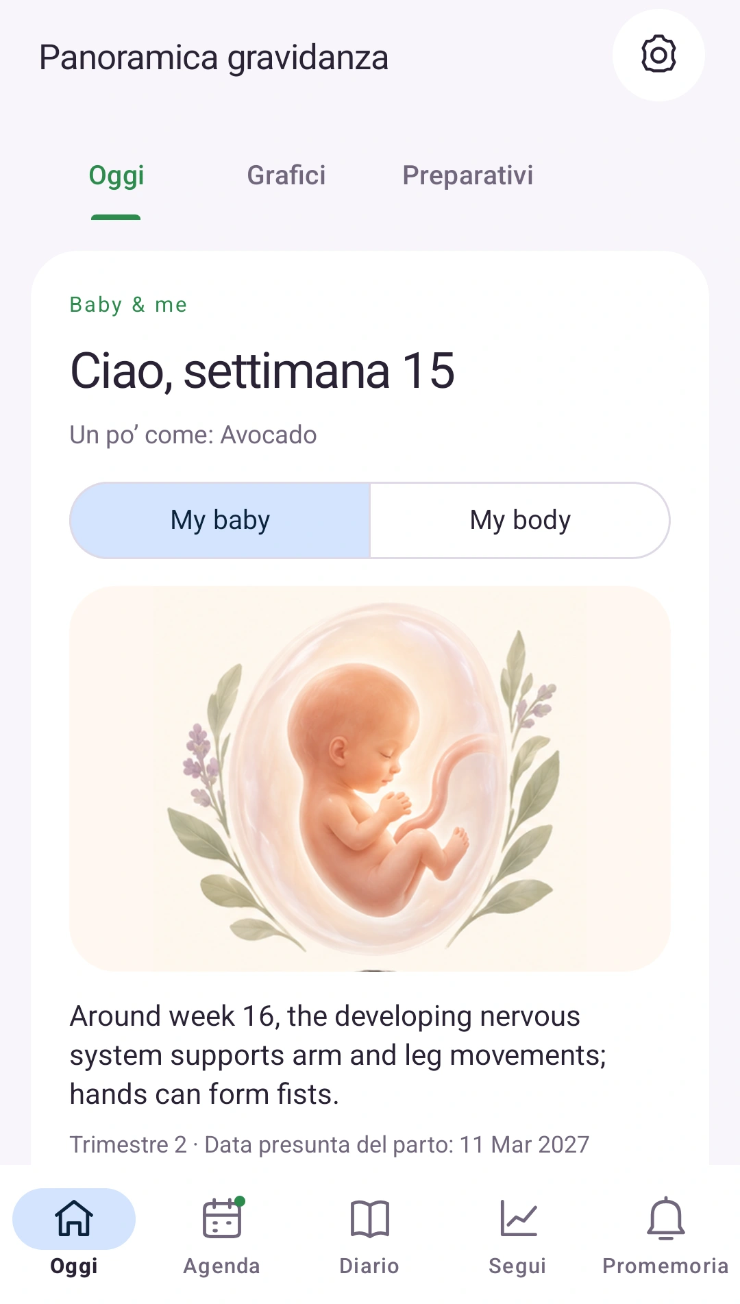 La tua gravidanza a colpo d’occhio