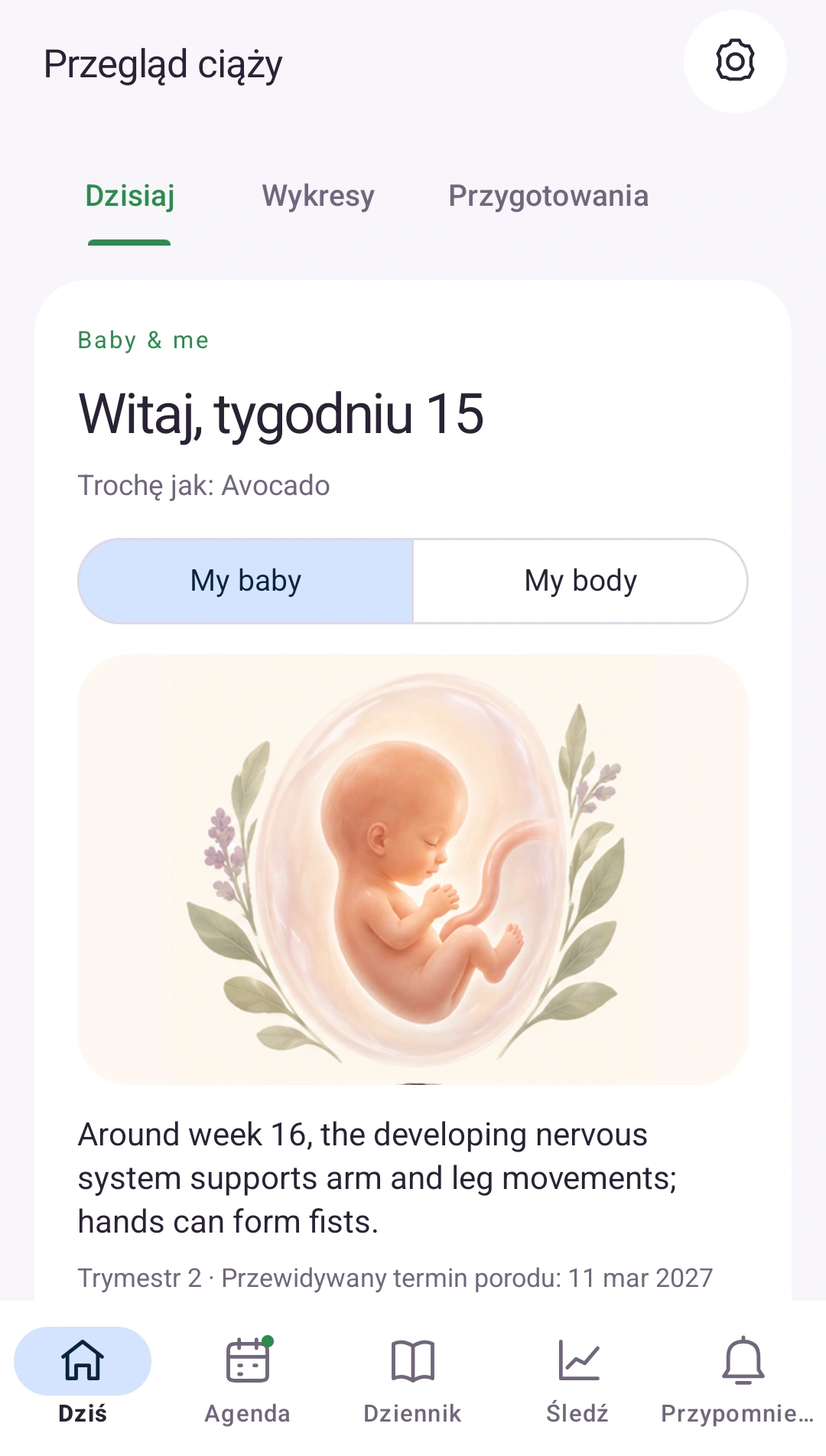 Twoja ciąża w jednym miejscu