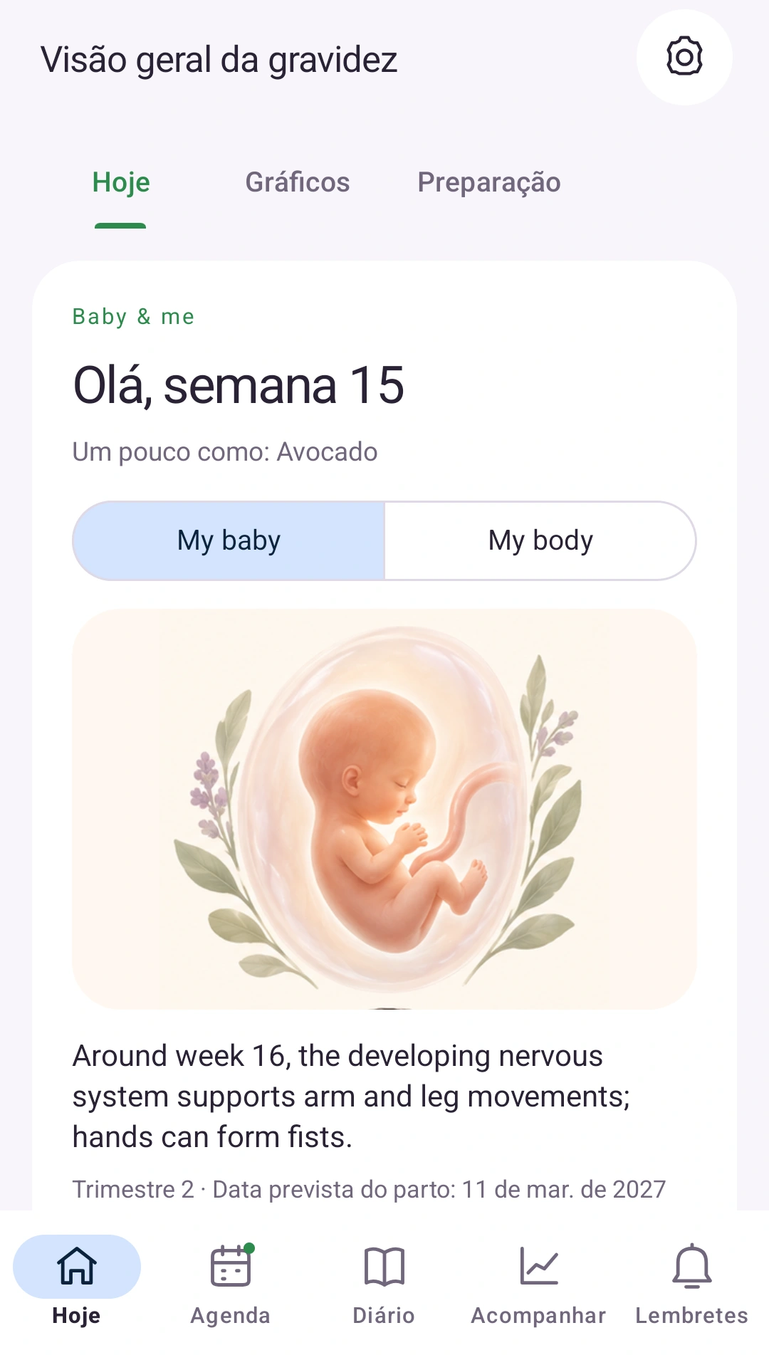 Sua gravidez em um olhar