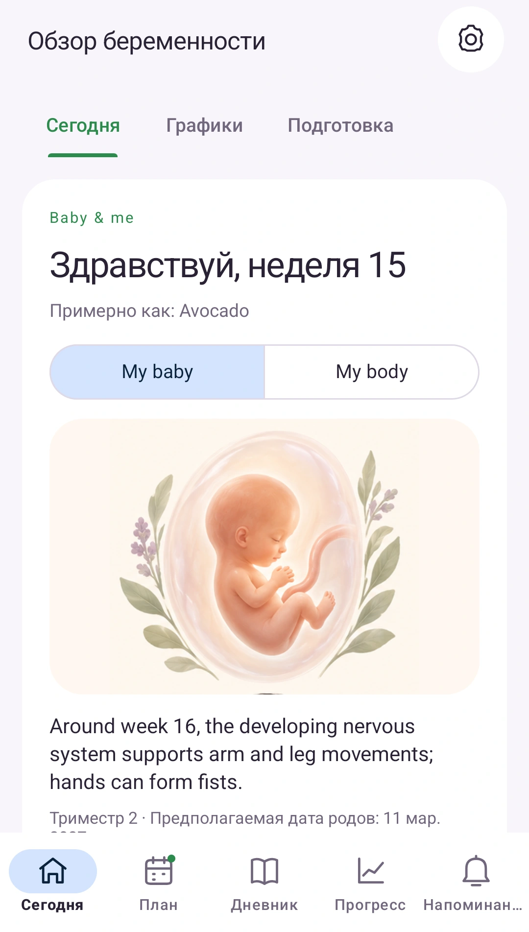 Ваша беременность — наглядно