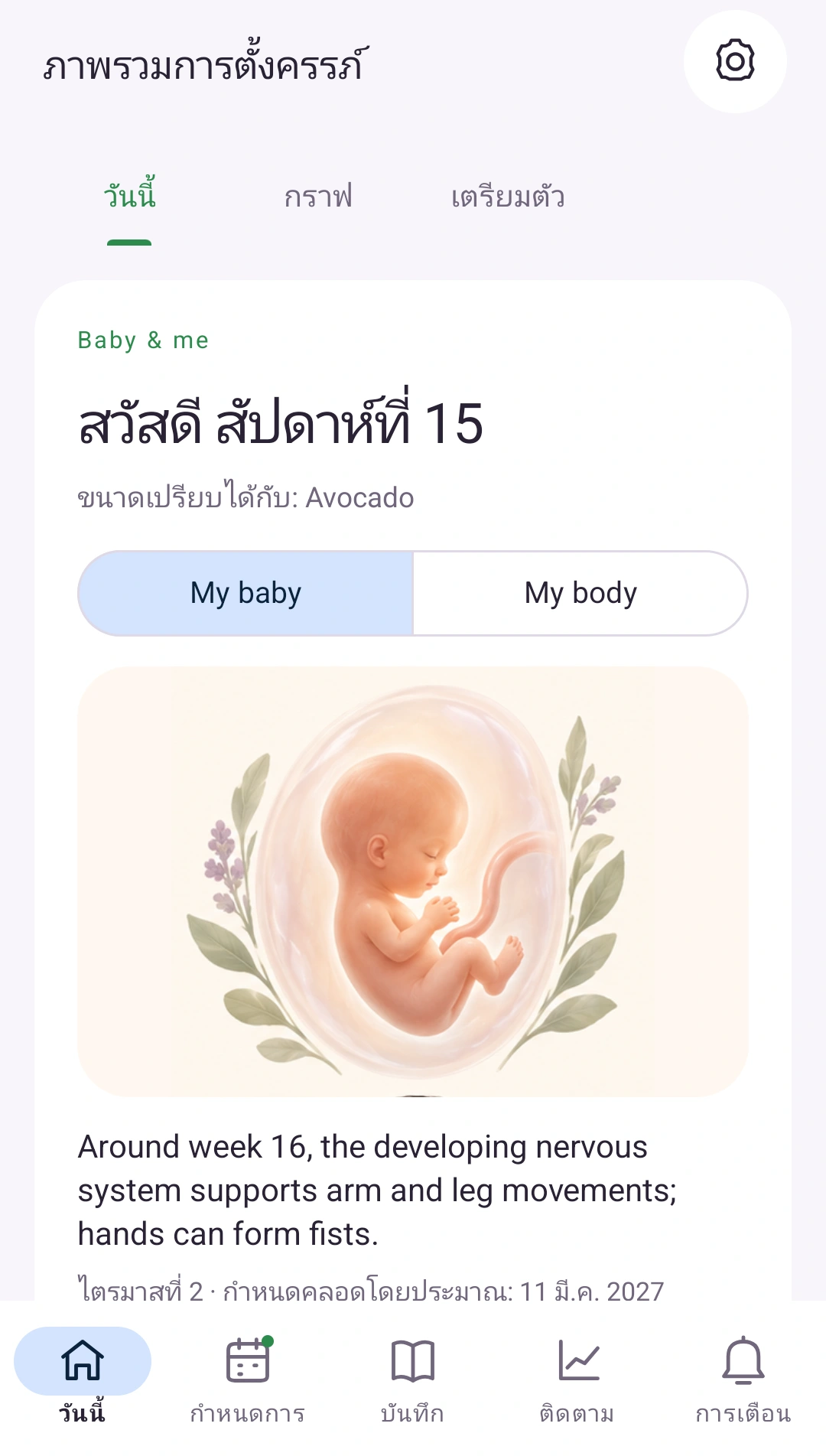ภาพรวมครรภ์ของคุณ