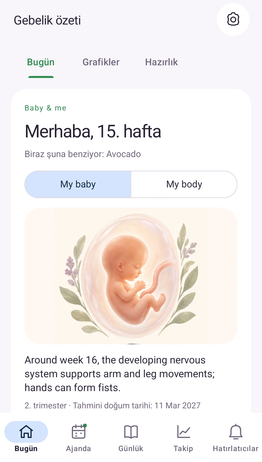 Gebeliğin bir bakışta