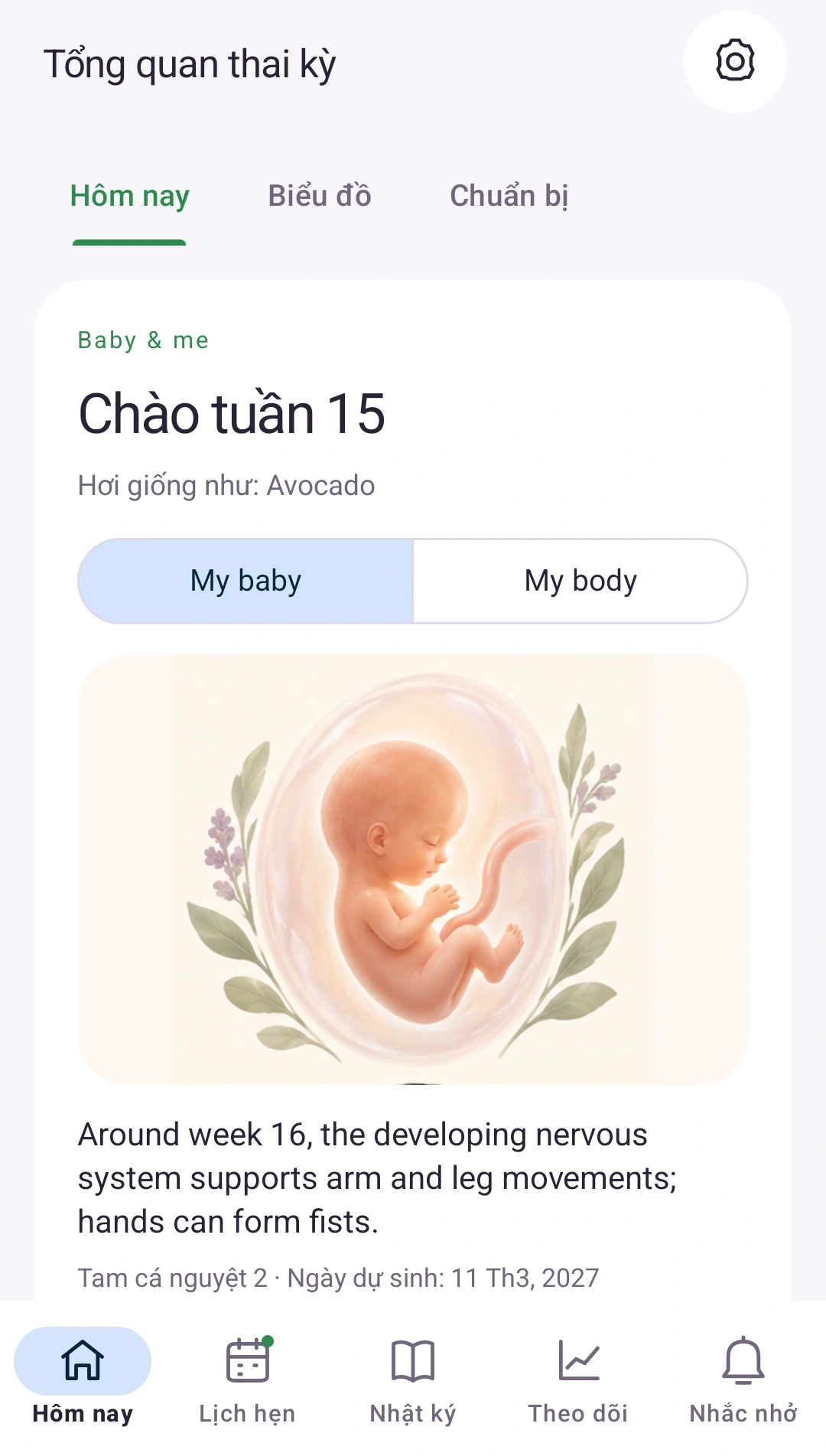 Thai kỳ trong một ánh nhìn
